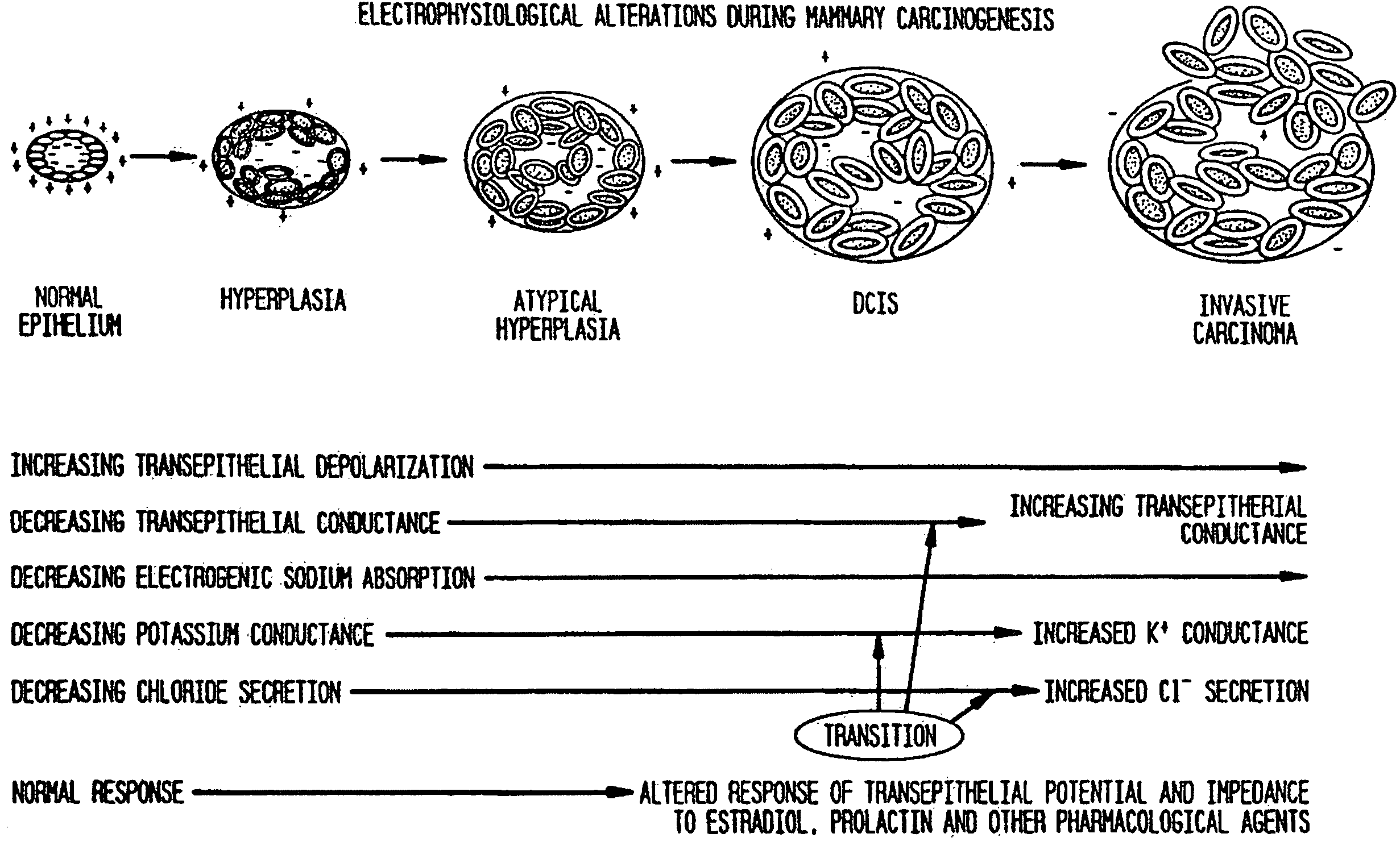 Method and system for detecting electrophysiological changes in pre-cancerous and cancerous tissue and epithelium