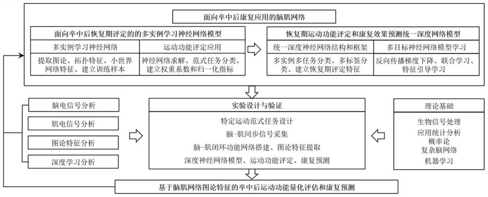 Post-stroke rehabilitation evaluation deep learning model construction method based on brain muscle network graph theory characteristics