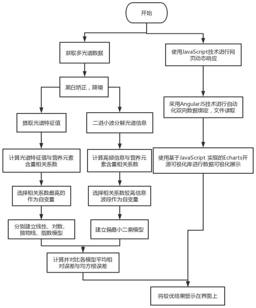 Detection method and system for spectrum detection of nutritional status of fruit tea tree