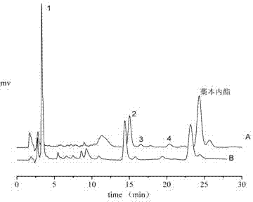 Transdermal administered gel ointment containing rhizoma ligustici wallichii and nutgrass galingale rhizome