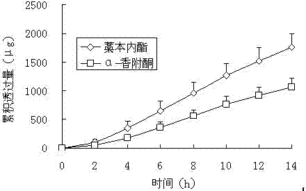 Transdermal administered gel ointment containing rhizoma ligustici wallichii and nutgrass galingale rhizome