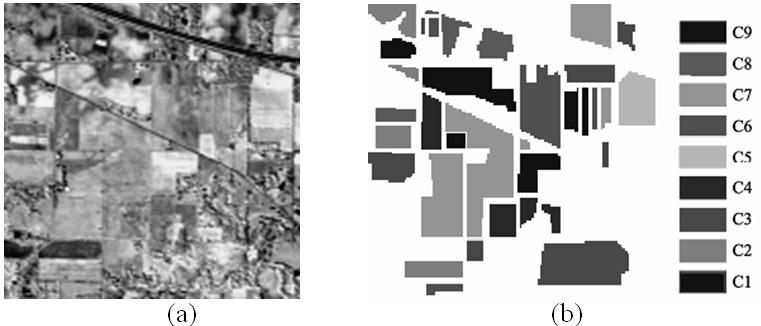 Method for selecting hyperspectral remote sensing image bands based on partial least squares