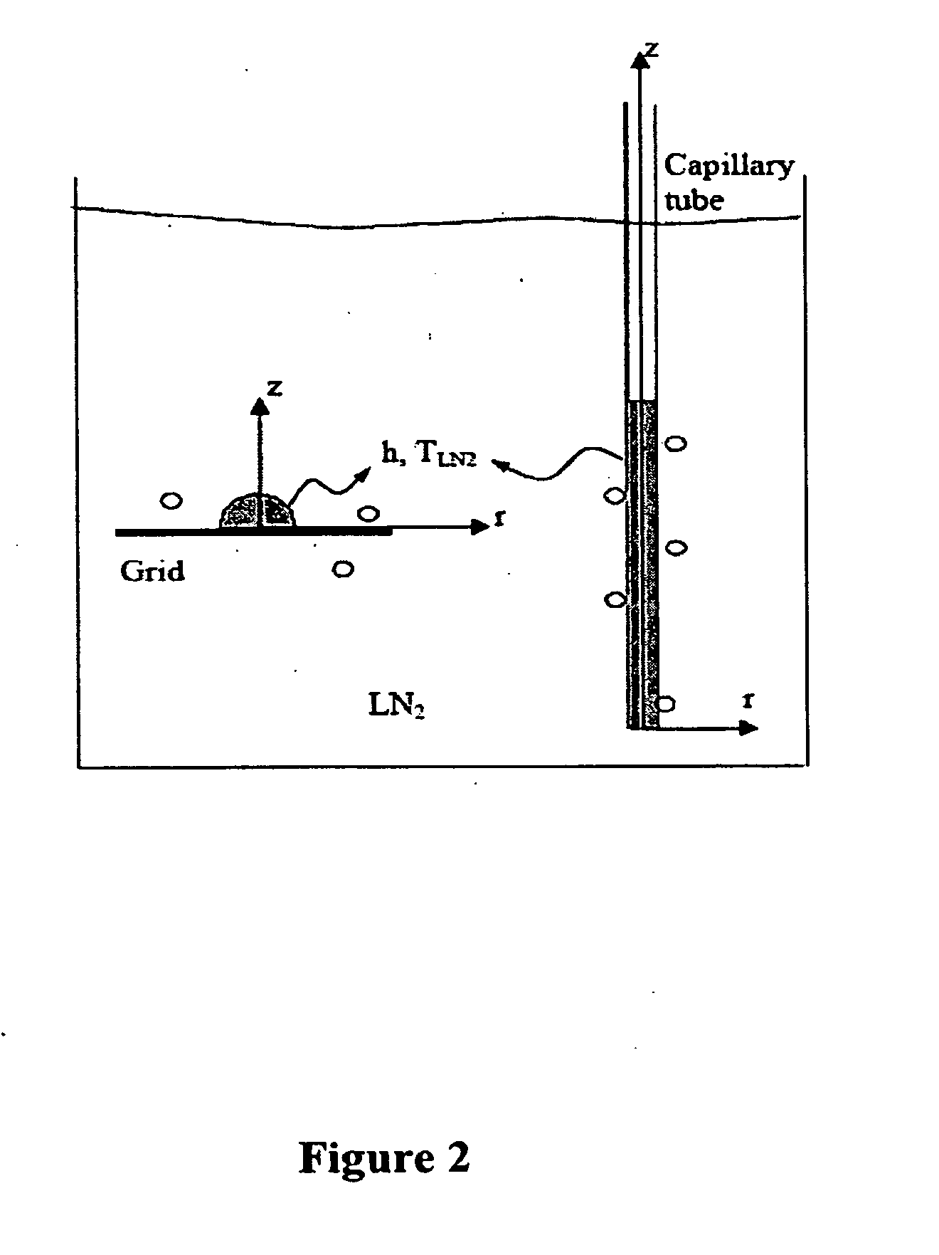 Methods for the Cryopreservation of Mammalian Cells