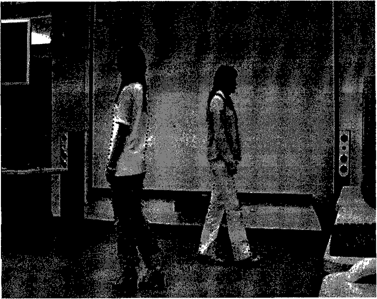 Method for converting plane video into stereoscopic video based on human-machine interaction