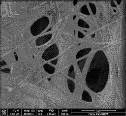 Dura-mater biological patch and preparation method thereof