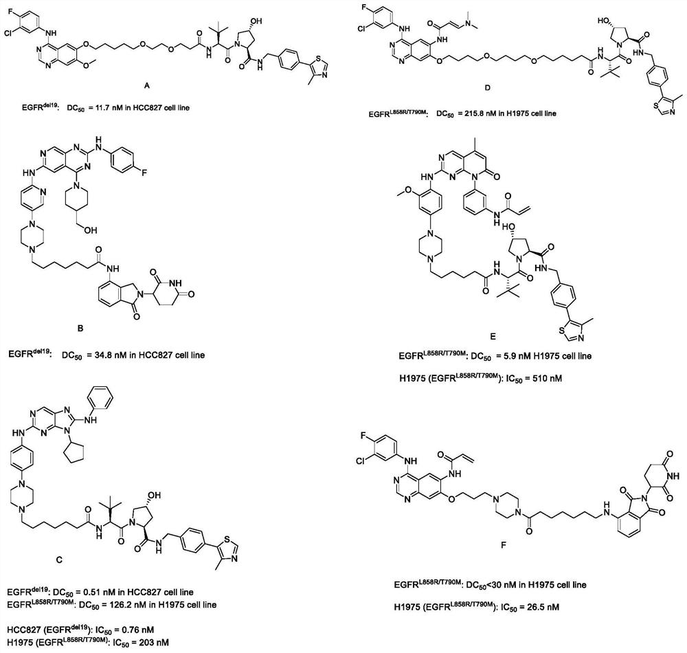 EGFR degradation agent containing 2, 8, 9-trisubstituted-9H-purine structure fragment and salt and application of EGFR degradation agent