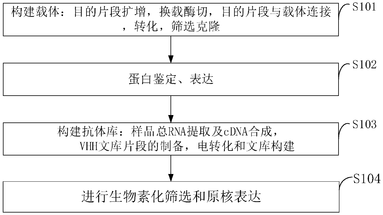 PD-L1 nanobody as well as preparation method and application thereof