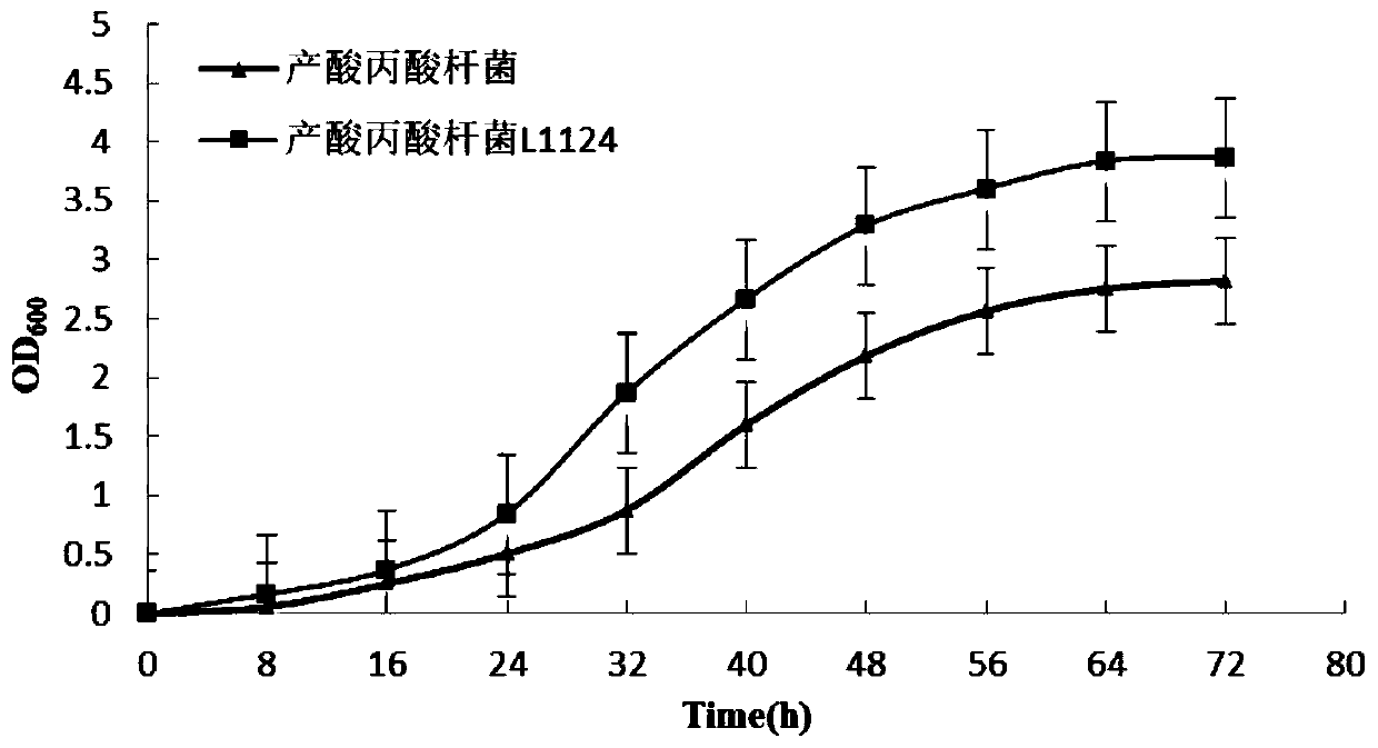 A kind of oxygen-resistant, acid-resistant, high-sugar-resistant propionibacterium acidogen and its application