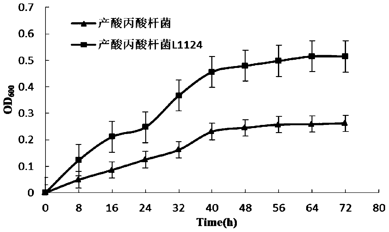 A kind of oxygen-resistant, acid-resistant, high-sugar-resistant propionibacterium acidogen and its application