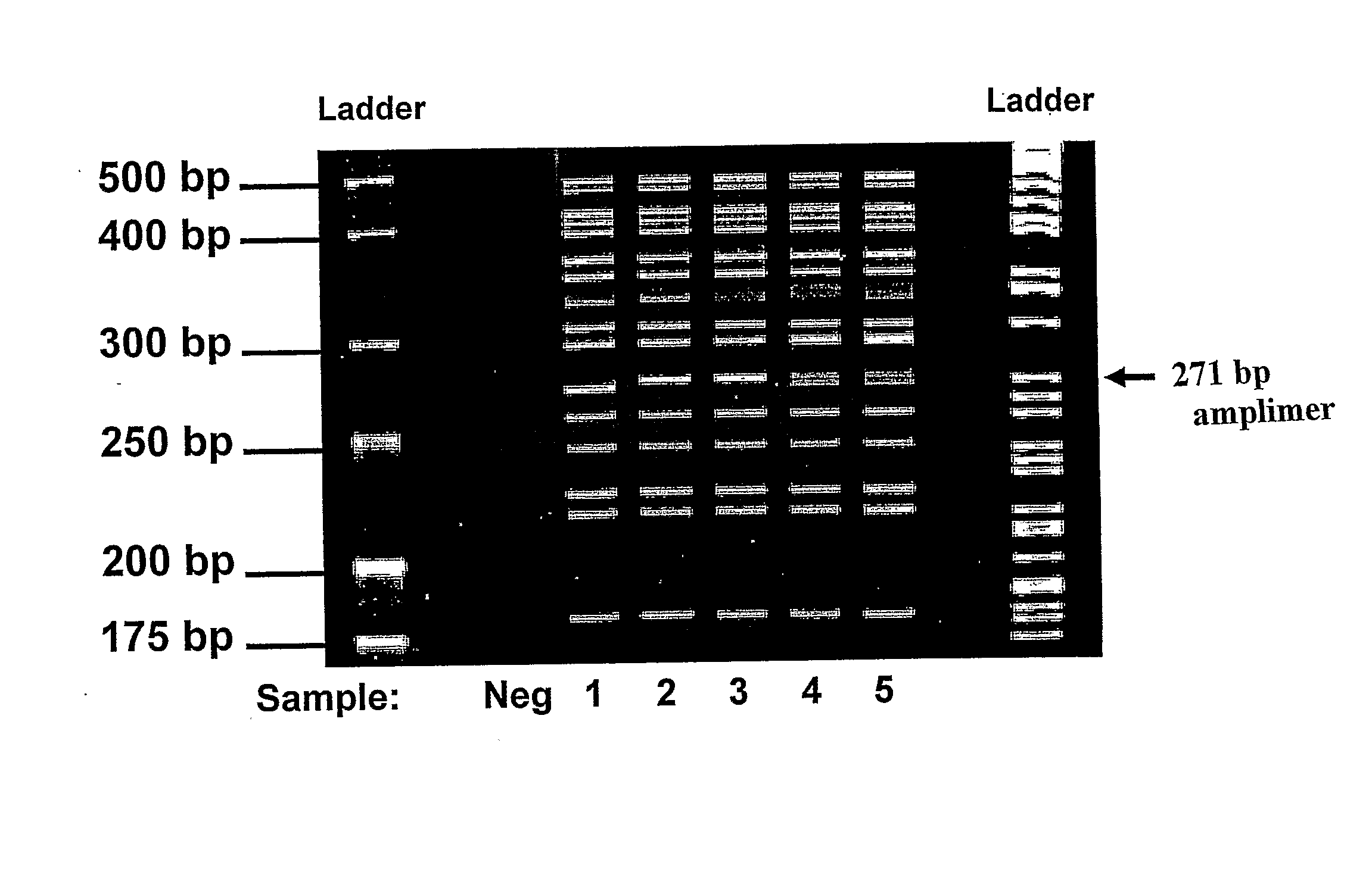 Method of Detecting Cystic Fibrosis Associated Mutations