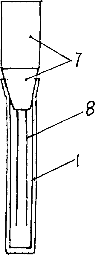 Aculeus type tissue slice glassivation refrigeration carrier and refrigeration method for ovary tissue