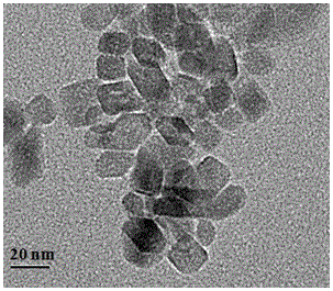 A kind of tio2 slurry for preparing large-area dye-sensitized solar cells by screen printing process and its preparation method