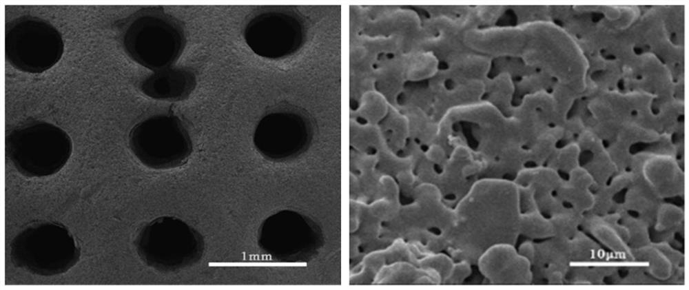 Photosensitive resin/beta-tricalcium phosphate composite biological ink capable of being used for DLP printing and preparation method of photosensitive resin/beta-tricalcium phosphate composite biological ink