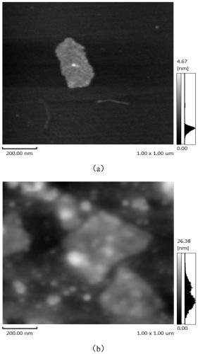 Paper-based double-imprinted material for selective protein recognition, preparation method and application