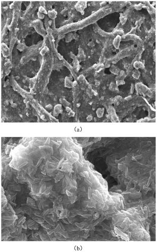 Paper-based double-imprinted material for selective protein recognition, preparation method and application