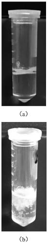 Paper-based double-imprinted material for selective protein recognition, preparation method and application