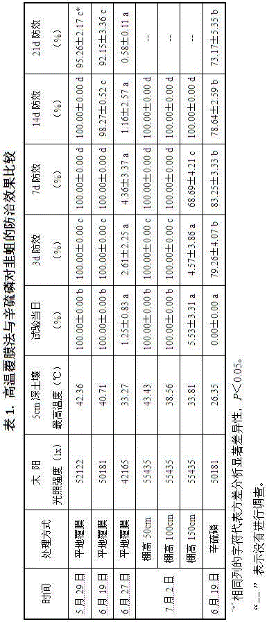 Method for mulching film at high temperature to control Chinese chive maggots