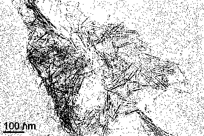 Method for preparing monodisperse zinc oxide ultrathin nanosheets