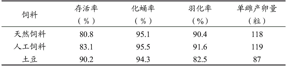 A kind of artificial breeding method for test leek maggot