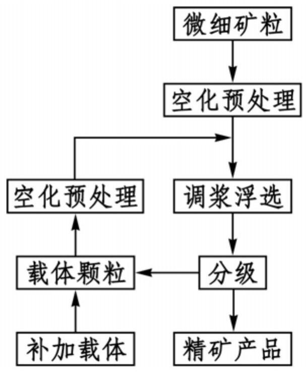 A fine mineral separation method combining cavitation pretreatment and carrier flotation