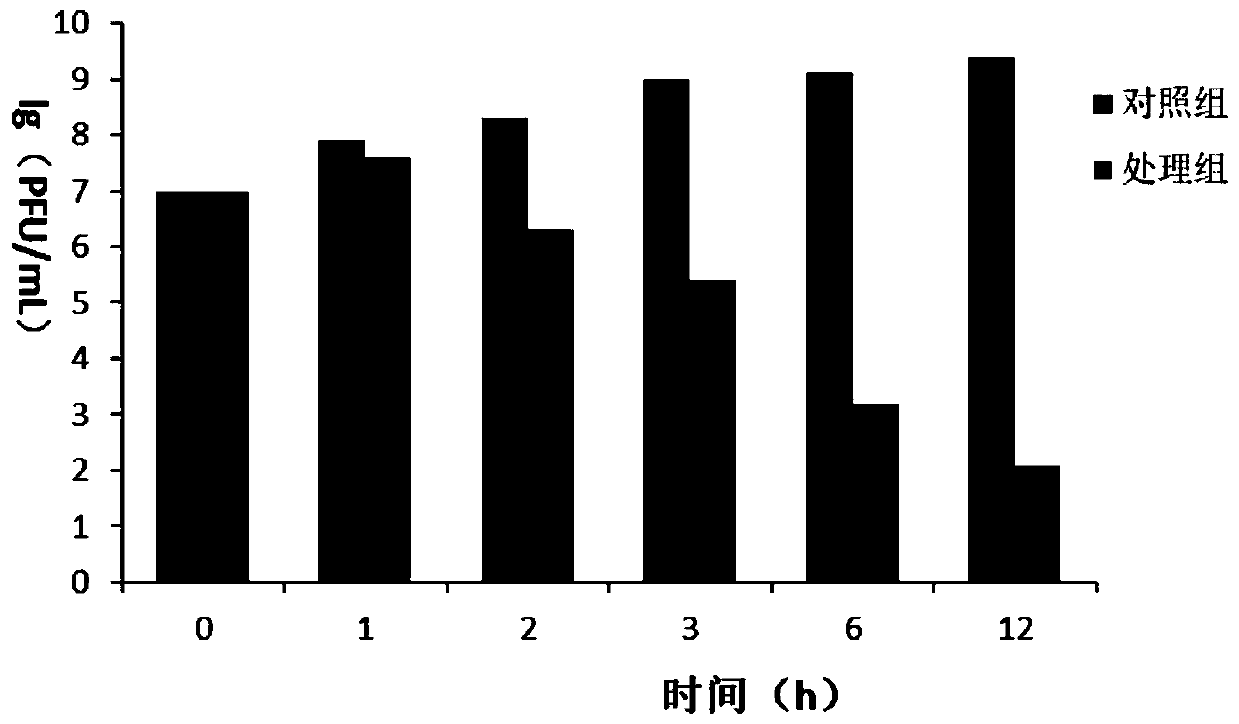 Vibrio campbellii phage and application thereof