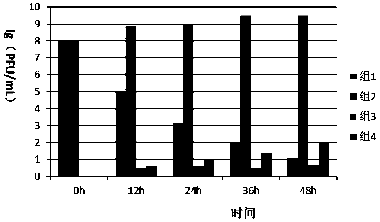 Vibrio campbellii phage and application thereof