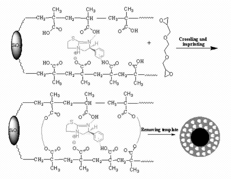 Preparation method of new material for separating and purifying chiral tetramisole (TM)