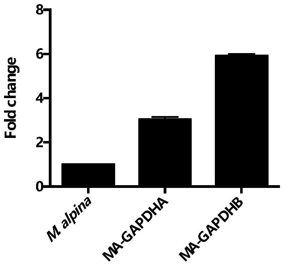 A kind of 3-phosphate glyceraldehyde dehydrogenase and its application