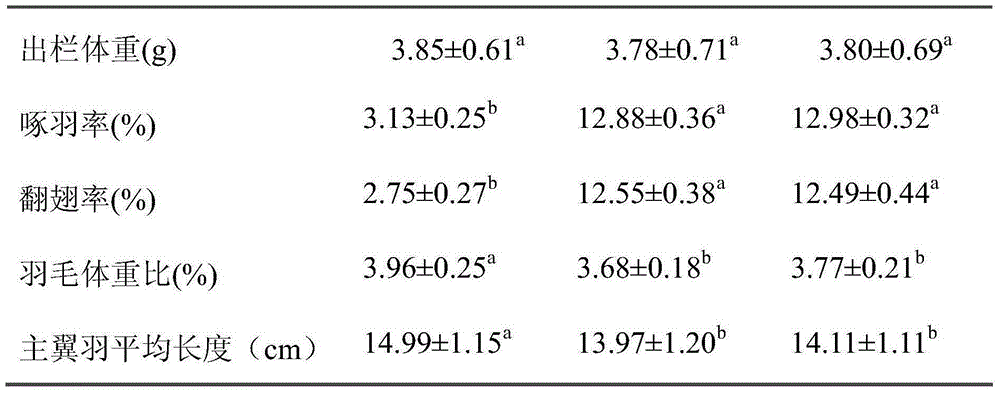 Compound feed additive for accelerating growth and development of feathers of meat geese and use method