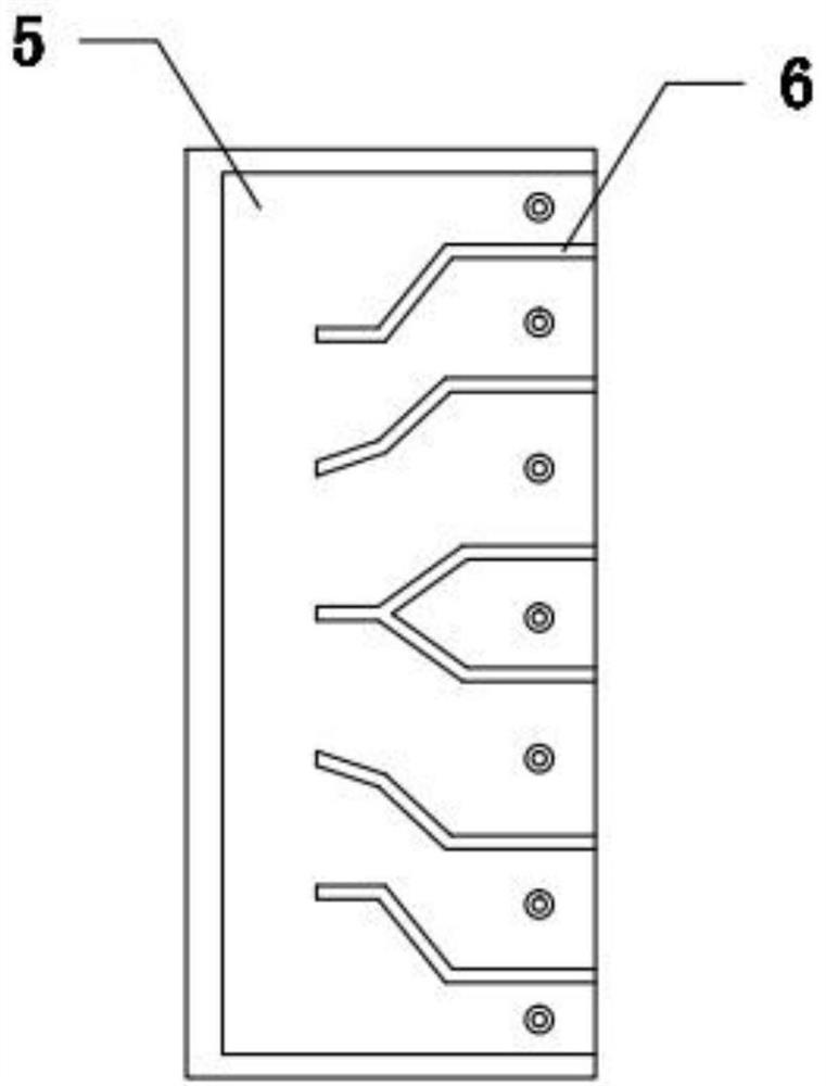 An anion generating device for biological function restoration