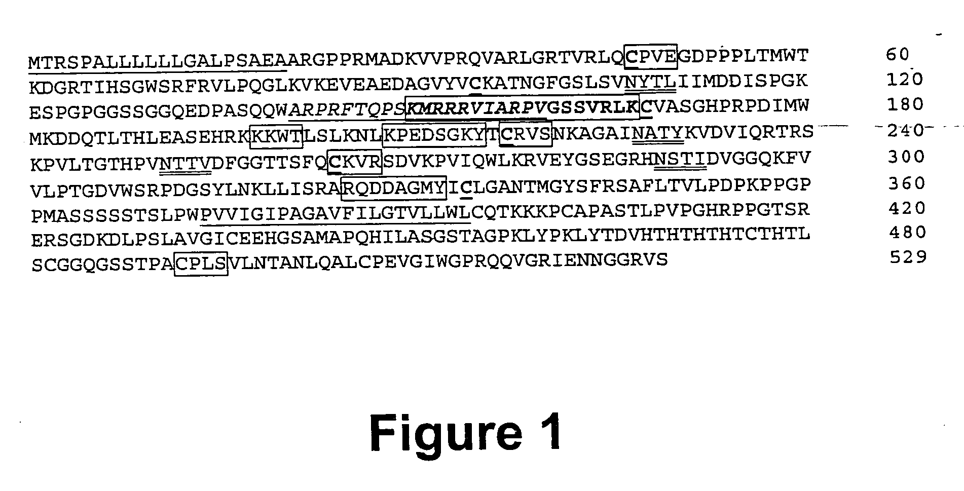 Fibroblast growth factor receptors and methods for their use