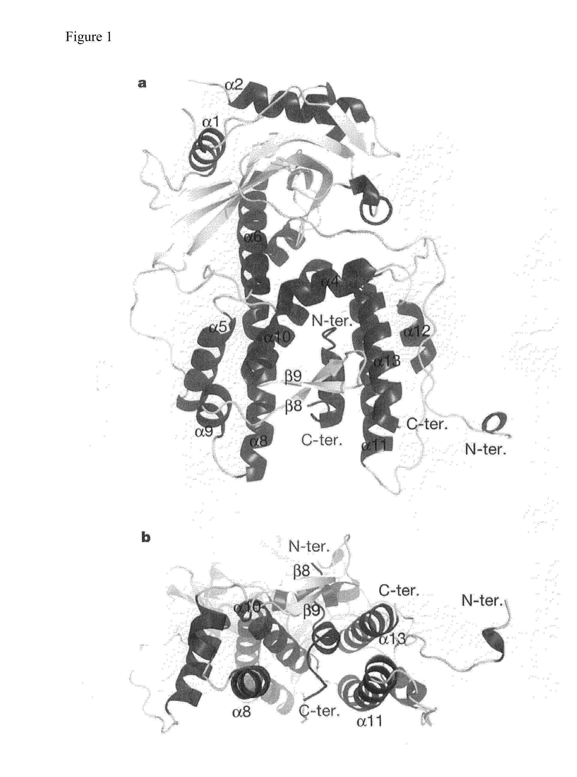 RNA polymerase derived from influenza virus