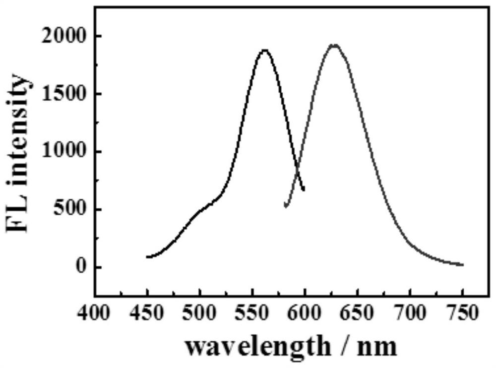 A dsDNA-agncs fluorescent probe for HER2 detection and its construction method and application