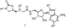 Oxazolidone-adenosine type multi-target antibacterial compounds and preparation method and application thereof