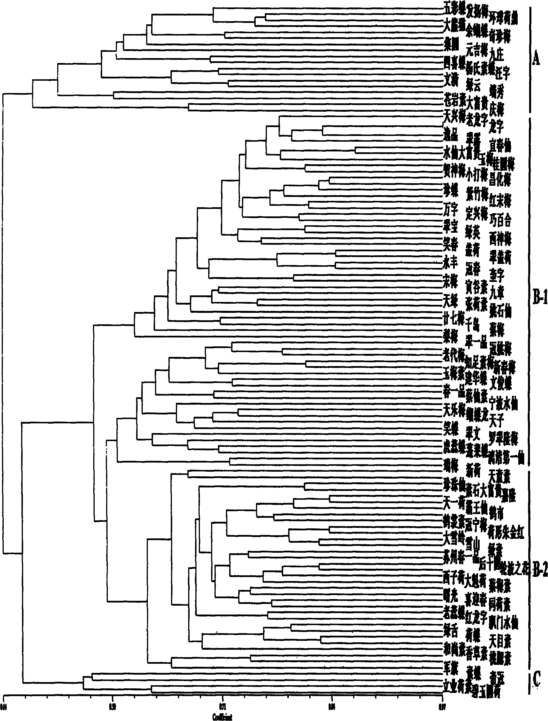 Method for identifying cymbidium varieties