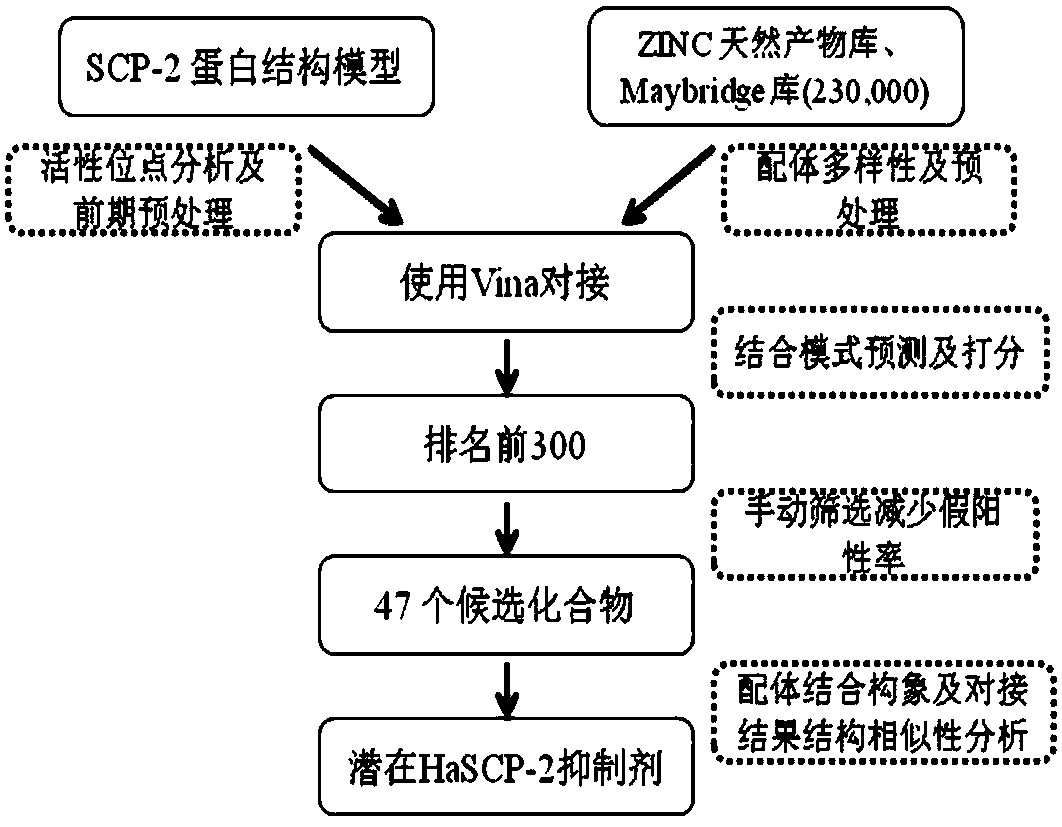 A kind of inhibitor of cotton bollworm sterol carrier protein 2 and its virtual screening method