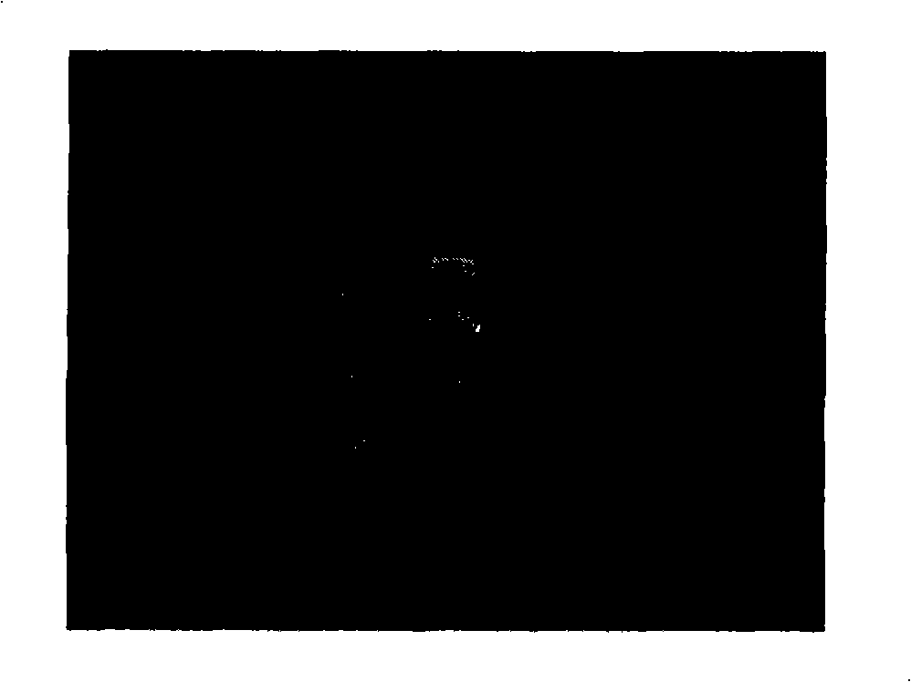 Method of preparing zinc oxide/titanium dioxide composite self-assembly thin film gas sensitive device