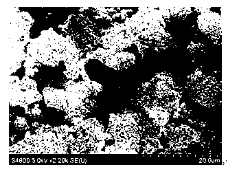 Molecular sieve aggregate and its preparation method