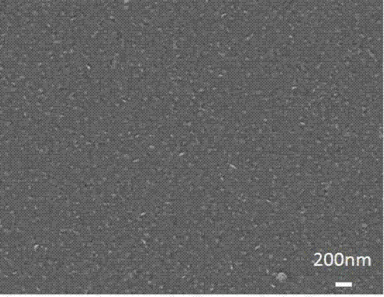 Method for electrochemically preparing thermoelectric film by using seeding layer