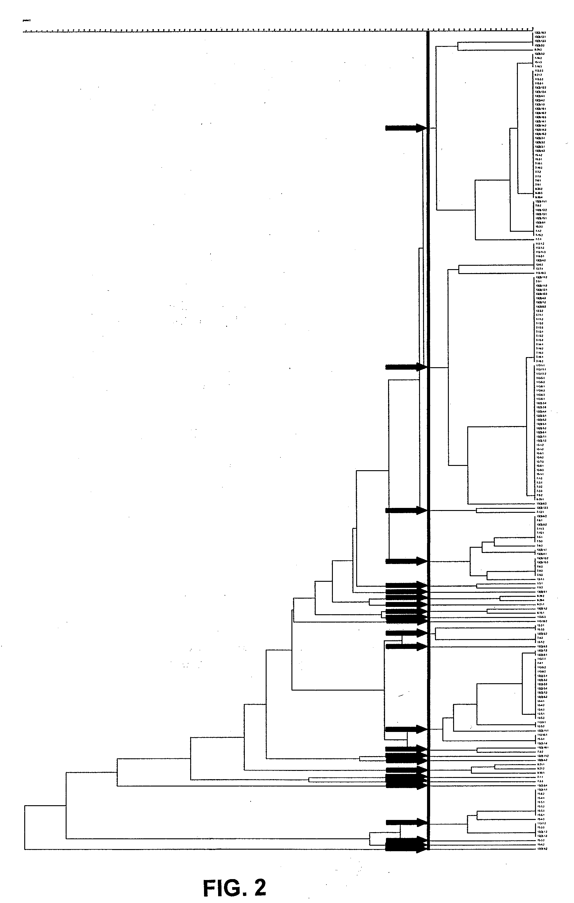 Methods of treating pigs with bacillus strains