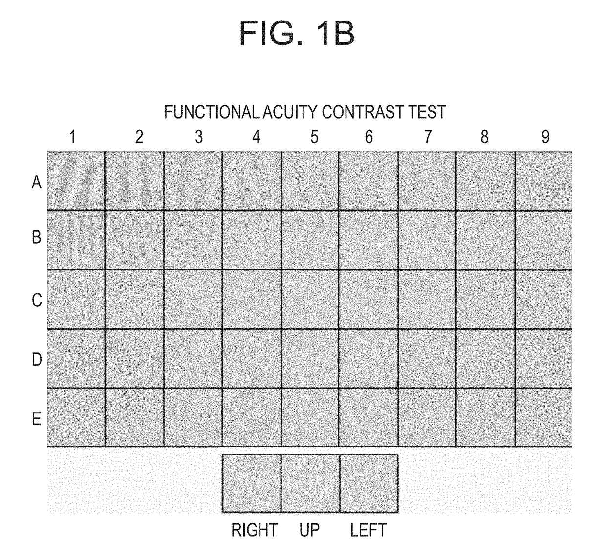 System and method for the rapid measurement of the visual contrast sensitivity function