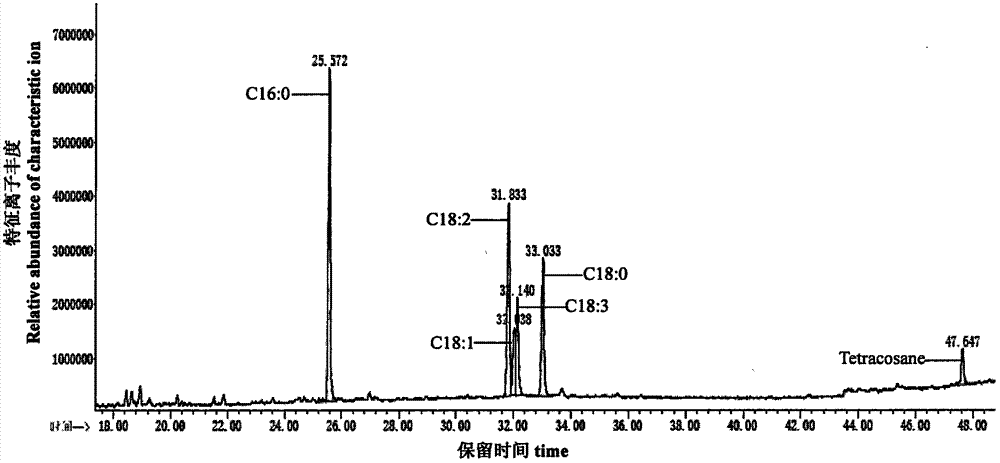 A Rapid and Effective Method for Extracting Oil from Cottonseed in Early Development