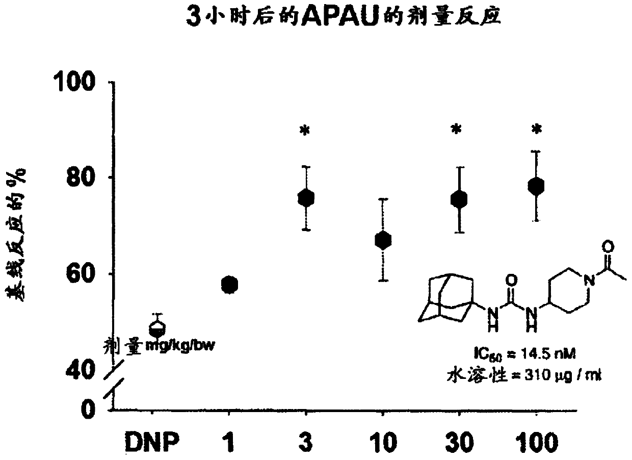 Treating neuropathic pain with seh inhibitors