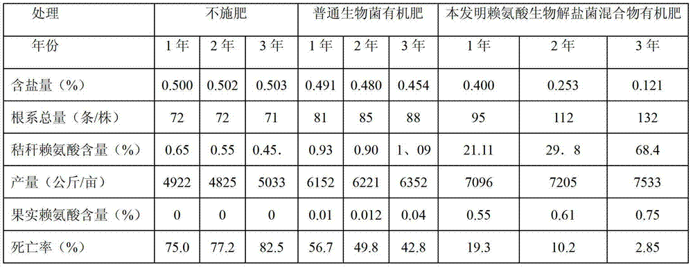 Lysine biological salt decomposition bacteria mixture, organic fertilizer thereof and preparation methods of lysine biological salt decomposition bacteria mixture and organic fertilizer