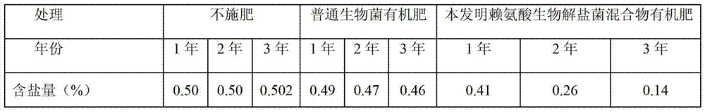 Lysine biological salt decomposition bacteria mixture, organic fertilizer thereof and preparation methods of lysine biological salt decomposition bacteria mixture and organic fertilizer