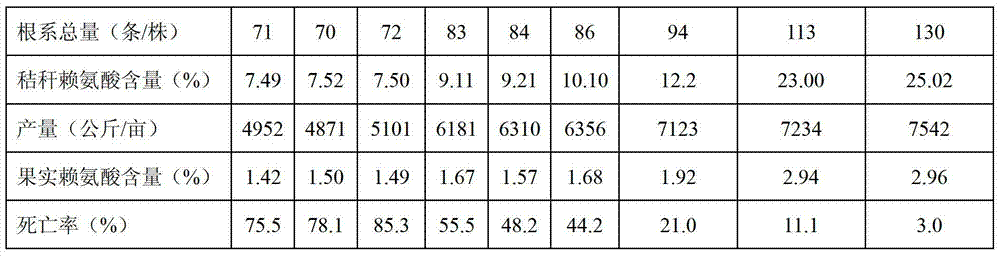 Lysine biological salt decomposition bacteria mixture, organic fertilizer thereof and preparation methods of lysine biological salt decomposition bacteria mixture and organic fertilizer