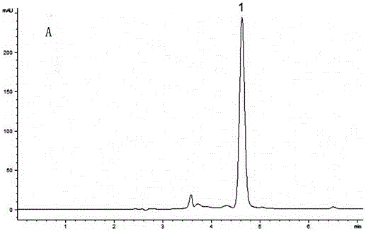 Method for extracting and purifying dehydrated safflower yellow B in safflower