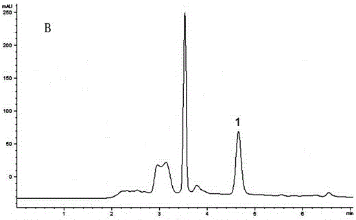 Method for extracting and purifying dehydrated safflower yellow B in safflower