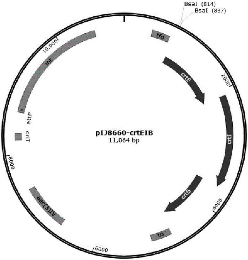 Method for constructing recombinant strain capable of producing target gene product at high yield, and recombinant strain and application thereof