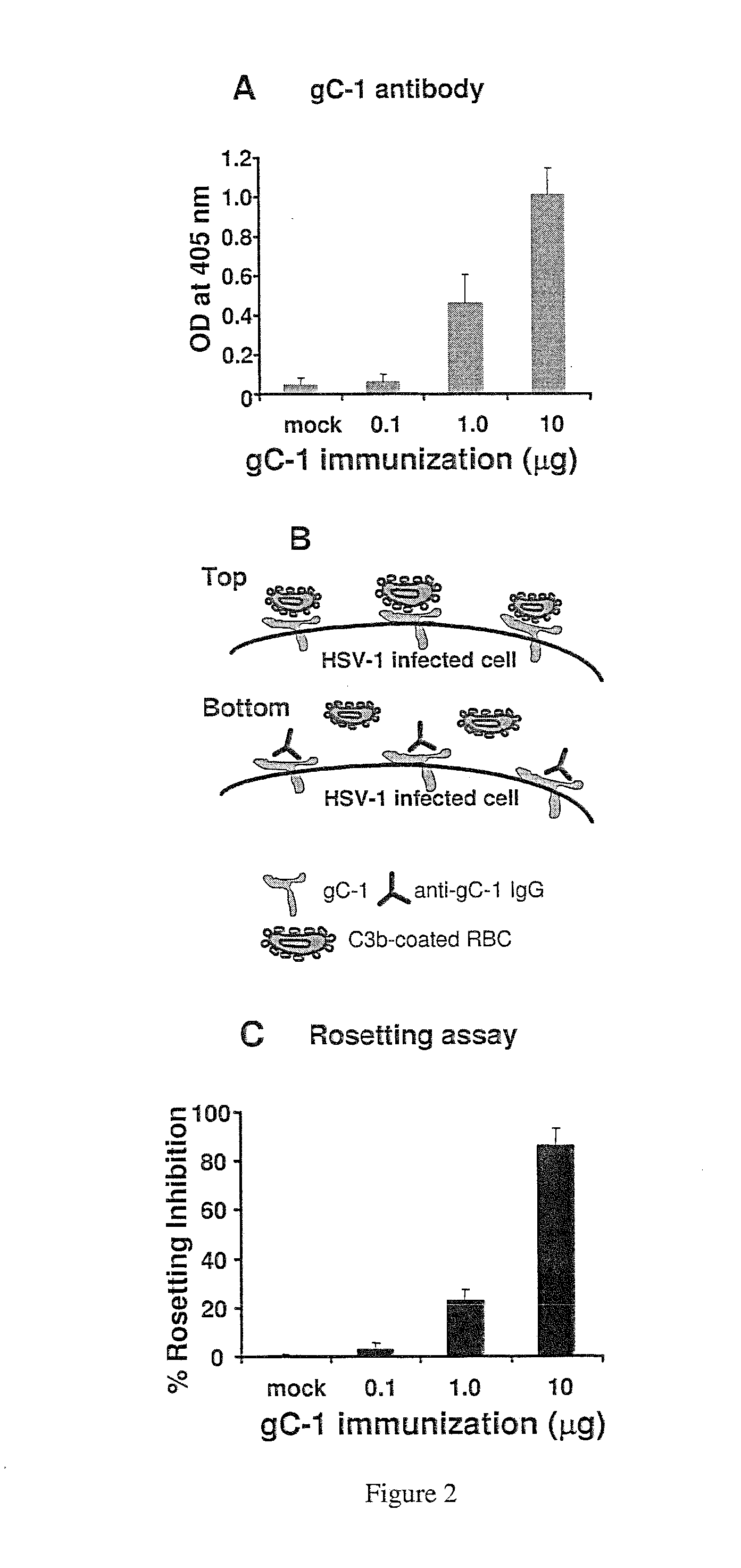 Herpes simplex virus combined subunit vaccines and methods of use thereof